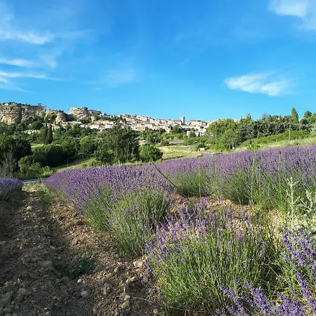 Le Pis Saint-jean + Duplex Hébergement de vacances *