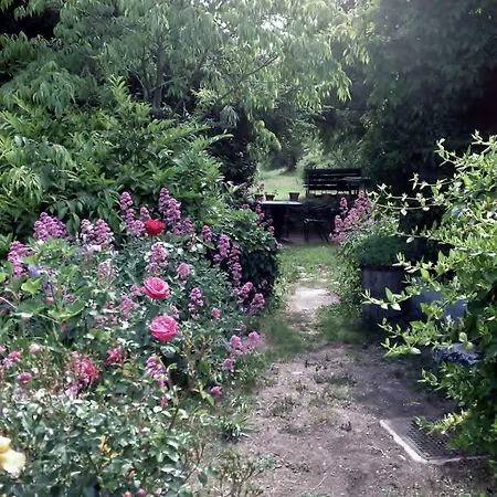 Le Pis Saint-jean + Duplex Saignon